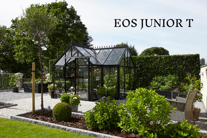 EOS JUNIOR T